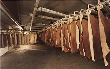 手套专用面料 ——真皮系列